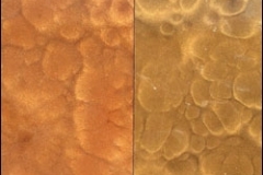 Pure-Metallic-Autumn-Blush-Sweet-Brown-Comparison-Sm