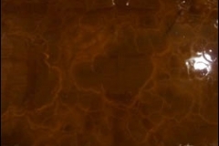 Pure-Metallic-Autumn-Blush-With-Autumn-Blush-Effect