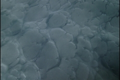 Pure-Metallic-Dark-Sea-Basecoat-With-Dark-Sea-Effects-2-Sm