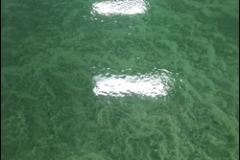 Pure-Metallic-Green-Glass-Commercial-Application-Sm