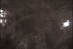 Pure-Metallic-Obsidian-Silver-With-Obsidian-Silver