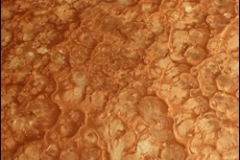 Pure-Metallic-Autumn-Blush-Basecoat-With-Gold-Lion-Effect-Closeup-Sm