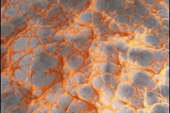 Pure-Metallic-Autumn-Blush-Basecoat-With-Obsidian-Silver-Effects-Sm