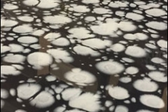 Pure-Metallic-Black-Basecoat-with-Angel-Wings-Effects-Sm