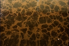 Pure-Metallic-Golden-Brown-With-Golden-Brown-Effects