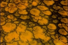 Pure-Metallic-House-Of-Smoke-Basecoat-With-Orange-Effects-Sm