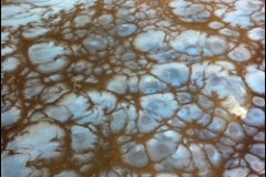 Pure-Metallic-House-of-Smoke-Basecoat-With-Tears-of-The-Gods-Effect-Sm