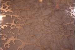 Pure-Metallic-Quarter-Throwing-Copper-With-Quarter-Throwing-Copper-Effect