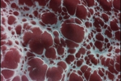 Pure-Metallic-Storm-Cloud-Basecoat-With-Scarlet-Effects-Sm