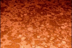 Pure-Metallic-Throwing-Copper-Autumn-Blush-Metallic-Epoxy-Flooring